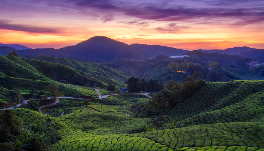 Best Tour Guide in Malaysia