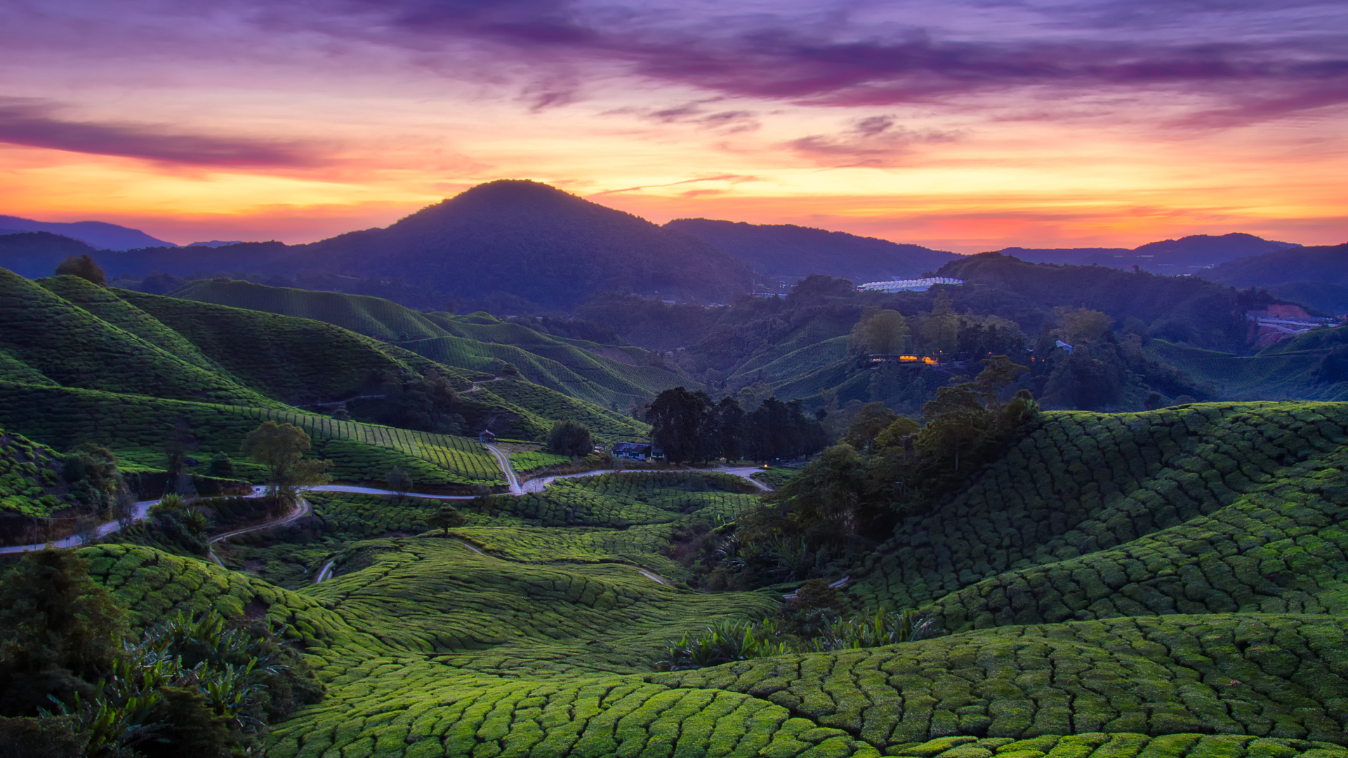 Best Tour Guide in Malaysia