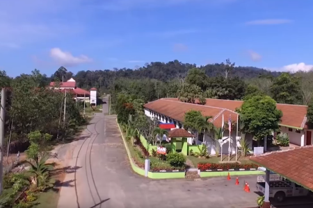 Top Place to Stay in Taman Negara