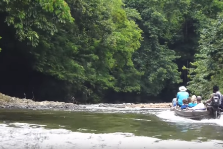 Top 3 Must-Do thing in Taman Negara