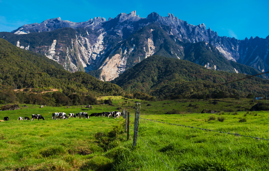 Breathtaking Kinabalu Park & Poring Hot Spring Tour – Shared Tour