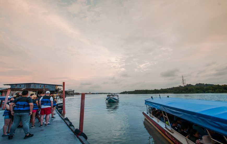 Fireflies Tour with Blue Tears and Seafood Delight (Meet at Location)
