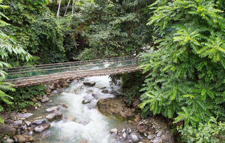 Breathtaking Kinabalu Park & Poring Hot Spring Tour – Shared Tour