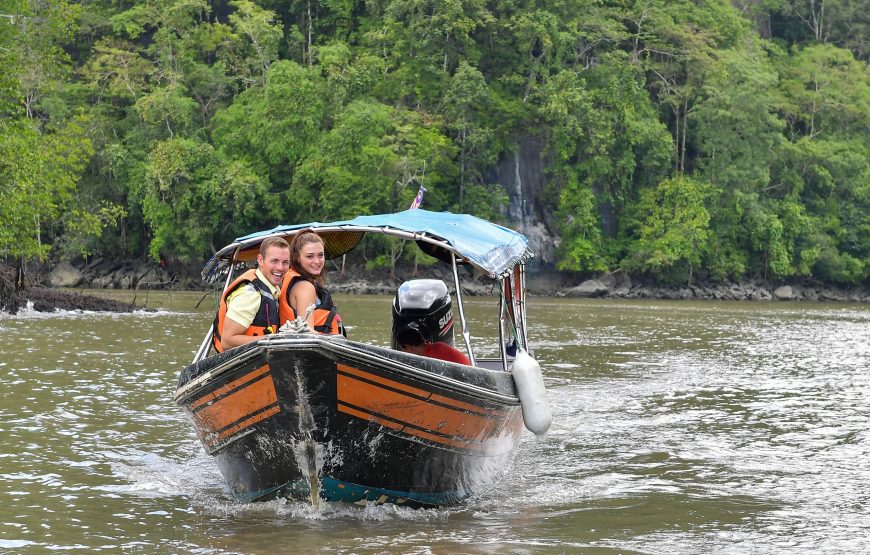 Enchanting Langkawi Mangrove Exploration Tour – Private Tour