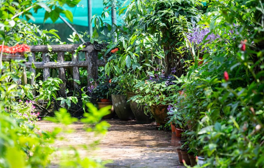 Enchanting KL Bird Park, Butterfly Park & Garden Tour – Private Tour