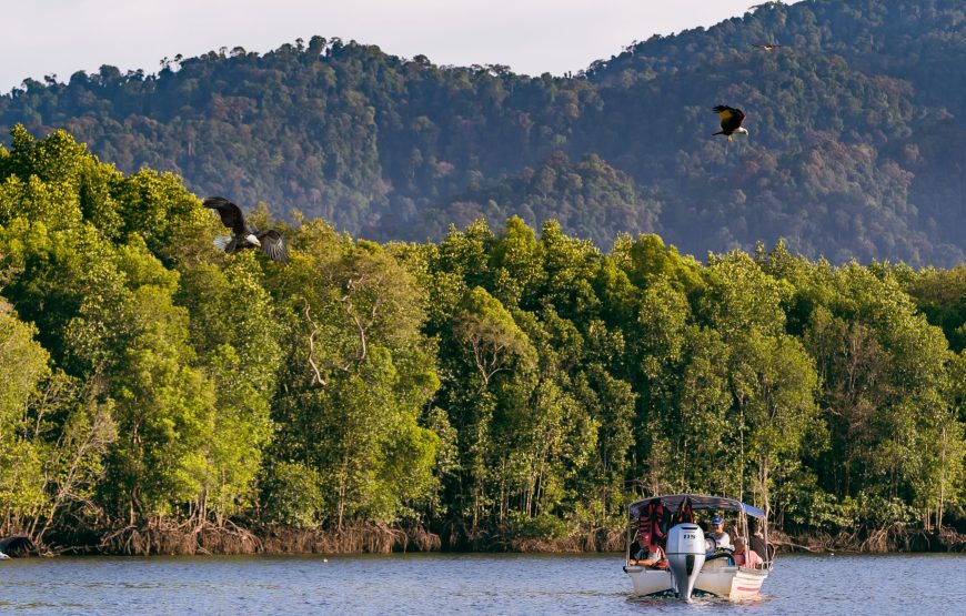 Exhilarating Langkawi Island Hopping Adventure – Private Tour