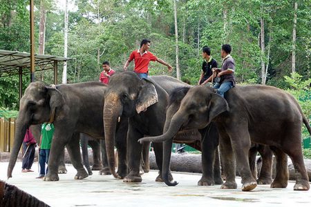 Best Tour Guide in Malaysia