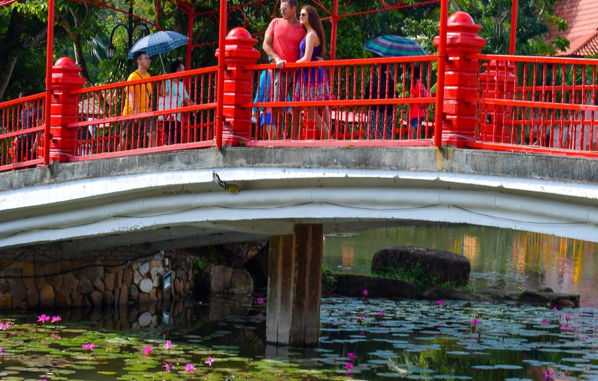 Vibrant Half Day Langkawi Island Tour – Private Tour