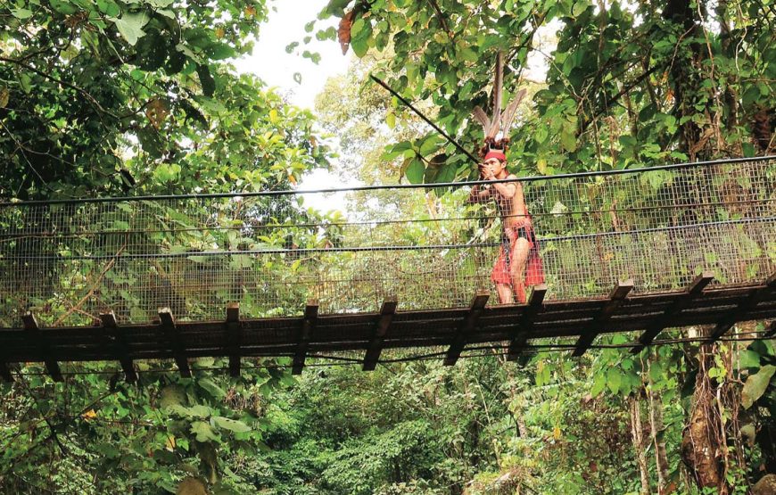 Enchanting Mari Mari Cultural Village Half-Day Discovery Tour – Shared Tour