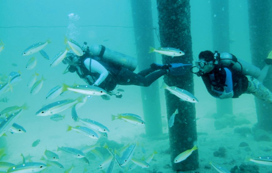 Vibrant Half Day Langkawi Island Tour – Private Tour