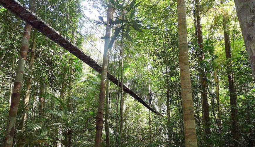 Best Tour Guide in Malaysia