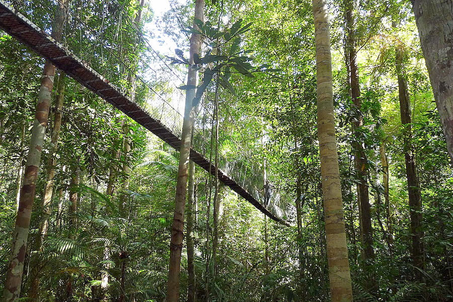 Best Tour Guide in Malaysia