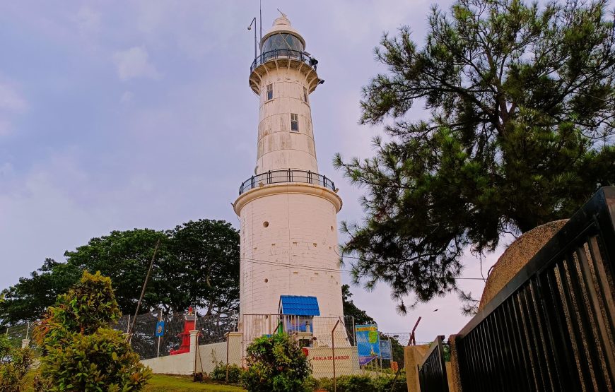 Kuala Selangor Fireflies & Blue Tears Tour with Seafood Dinner – Private Tour