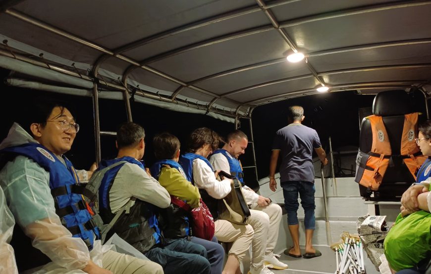 Kuala Selangor Fireflies & Blue Tears Tour with Seafood Dinner – Private Tour