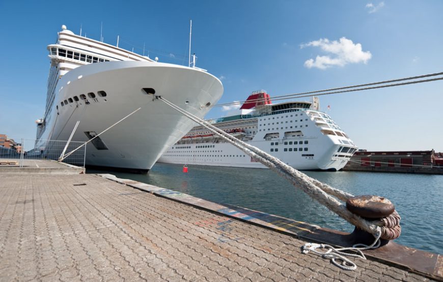 Cruise & Airline Transit Tours