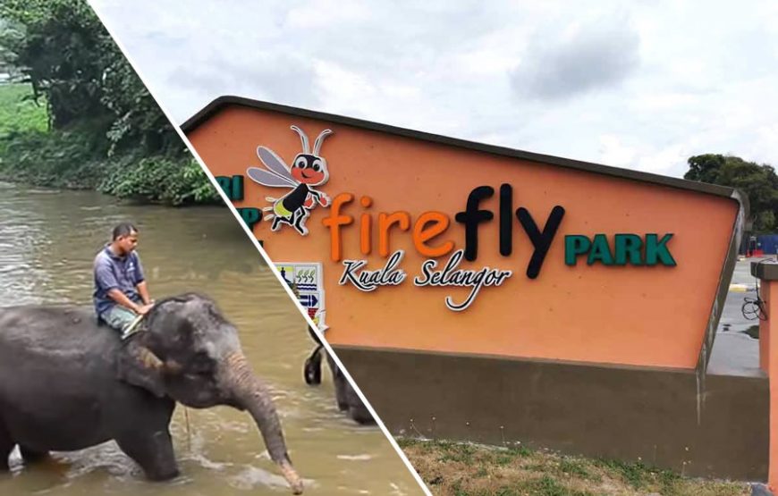 Elephant Sanctuary & Fireflies Combo Tour