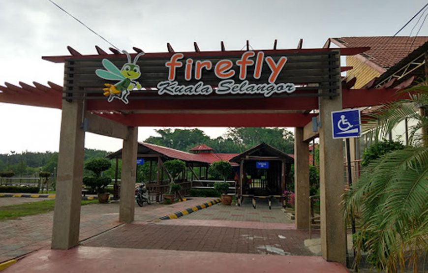 Kuala Selangor Fireflies Tour
