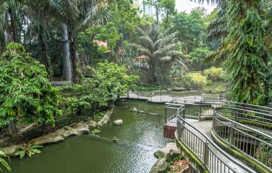 Enchanting KL Bird Park, Butterfly Park & Garden Tour – Private Tour