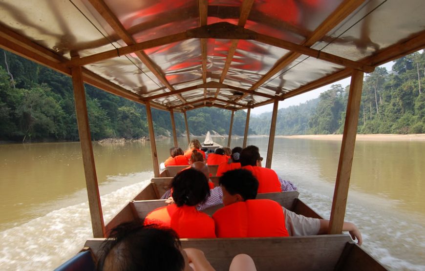 Tropical Taman Negara Trekking Day Tour – Private Tour