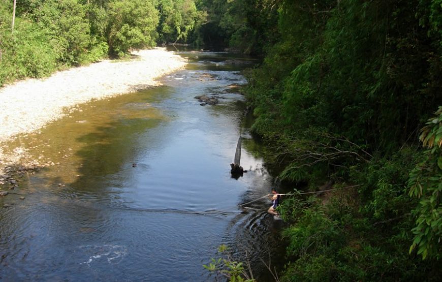 Tropical Taman Negara Trekking Day Tour – Private Tour