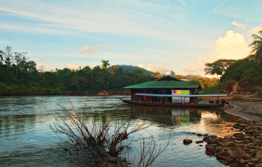 Tropical Taman Negara Trekking Day Tour – Private Tour