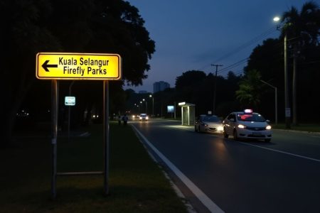 Witness The Magical Fireflies In Kuala Selangor