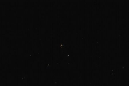 Best Time To See The Kuala Selangor Fireflies (And Weather Tips)